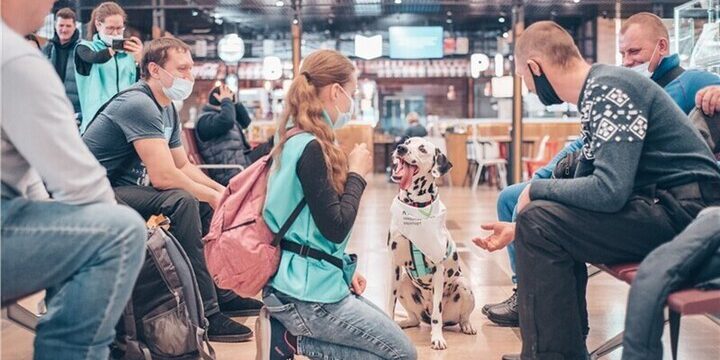 Progetto di sostegno emotivo negli aeroporti russi con cani addestrati per ridurre lo stress dei passeggeri