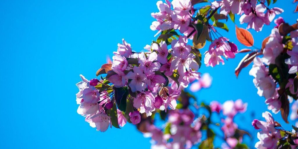 Приметы на Федорины вечерки: что нельзя делать 24 сентября 2025 года