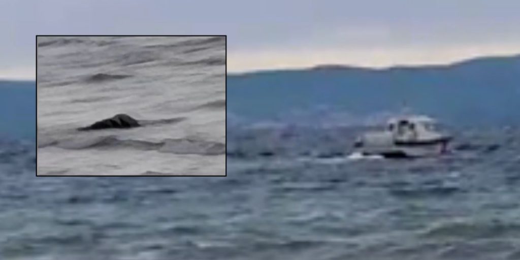 Tragedia al largo di Çanakkale: barca affondata e vittime, le indagini sono in corso