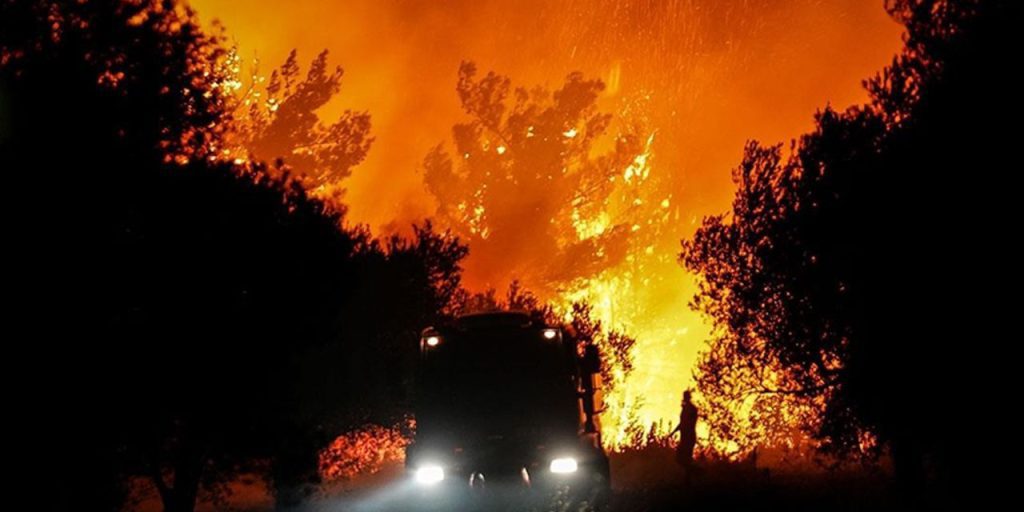 Çanakkale'de ormanda yanmış halde ceset bulundu