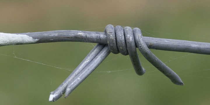 Обвиняемого по делу "Военторга" не отпустили на СВО