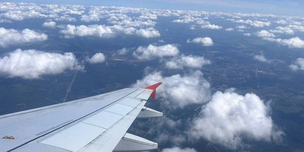 В аэропорту Минвод пассажир попытался нанести себе травмы при посадке рейса