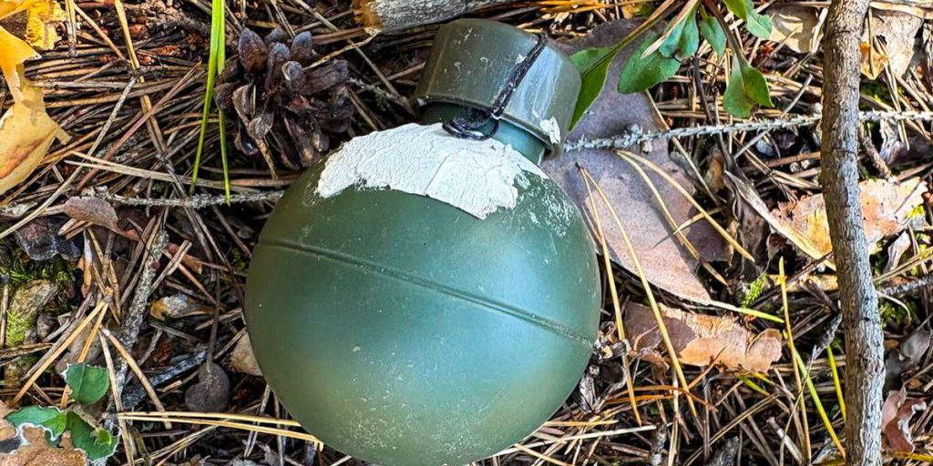 У деревни Марий Эл нашли предмет, похожий на боеприпас