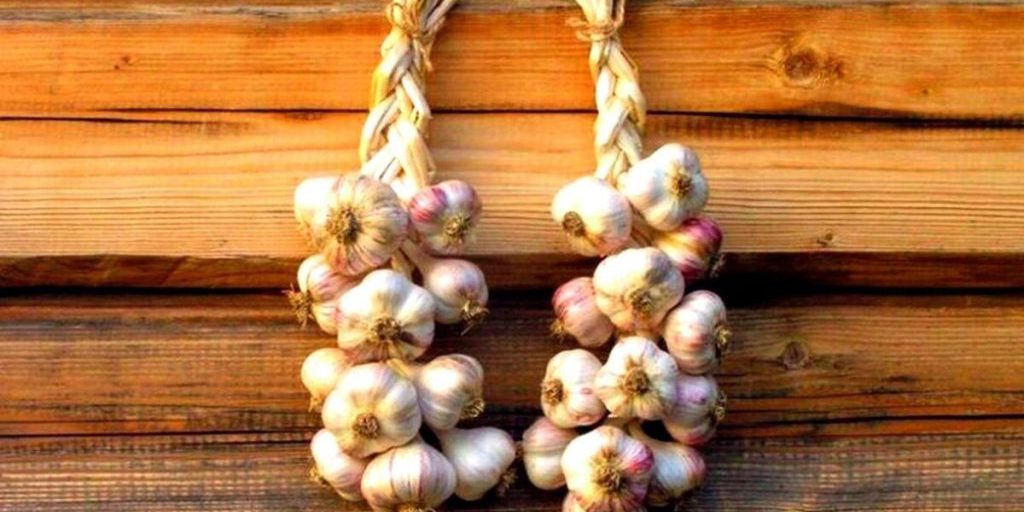 Почему жителям Калмыкии завтра нужно опасаться порчи