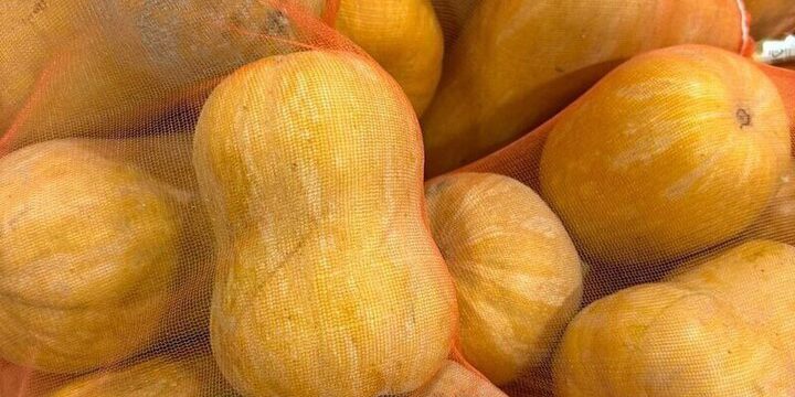 В Петербурге проверили первую за 10 лет партию тыквы из Узбекистана