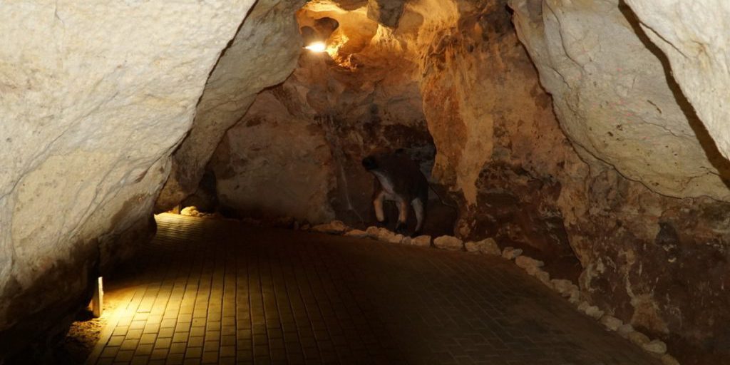 С 2022 года крымскую пещеру Таврида посетило 170 тысяч человек