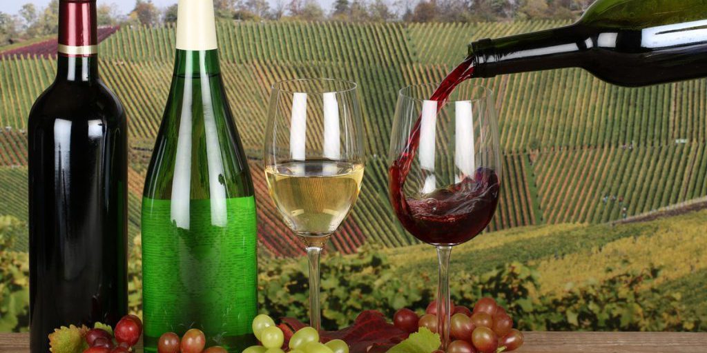 La Germania affronta una riduzione storica della produzione di vino: cosa significa per il mercato e i consumatori?