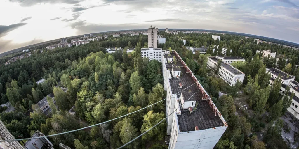 Assistenza non ricevuta: invia il testo originale per la riscrittura