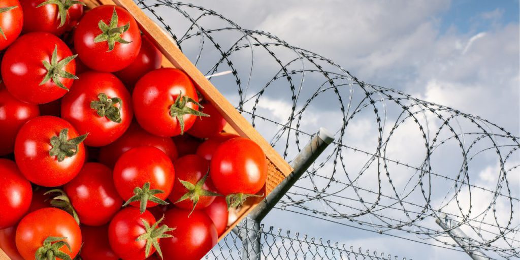 Scandalo in carcere femminile inglese: detenuta accompagnata fuori per acquistare pomodori, indagine in corso