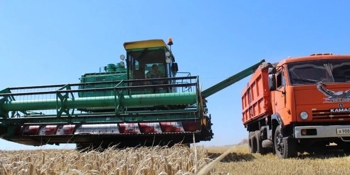 Владимирские аграрии бьют рекорды по урожаю зерна