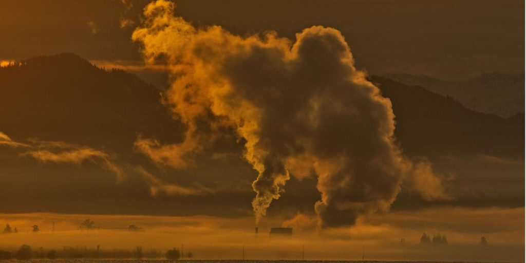 I Crediti di Carbonio: Uno Strumento Fondamentale nella Lotta contro il Cambiamento Climatico