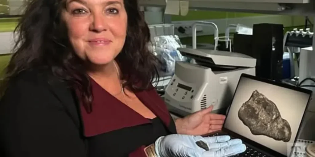 Scoperta in Estonia di gomma da masticare di 10.500 anni