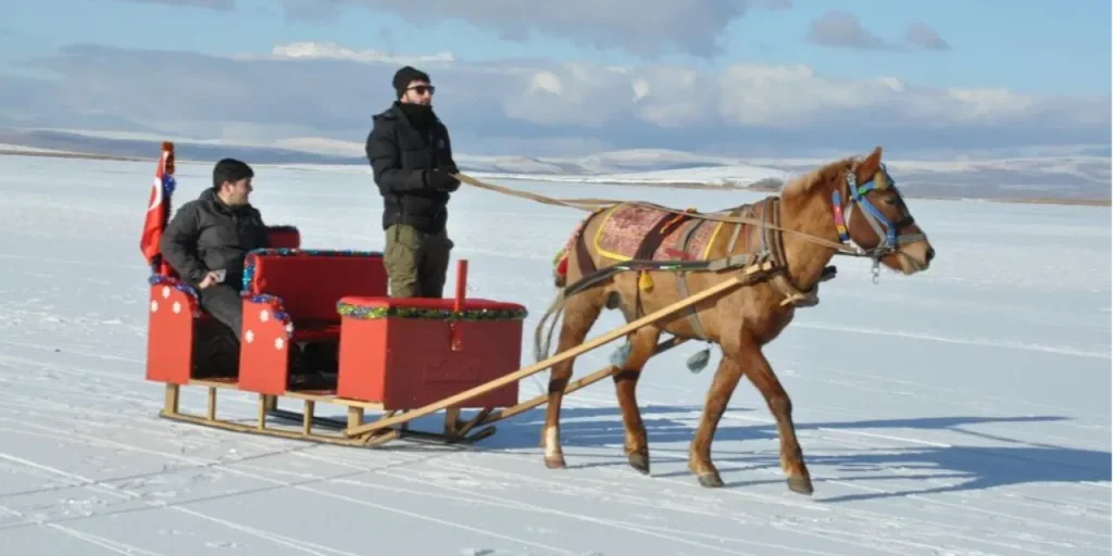 Slitte a cavallo sul lago ghiacciato di Çıldır: un turismo invernale spettacolare