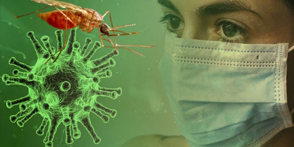 Çin'de bu sivrisinekler virüs saçıyor! Yerleşim yerleri risk altında