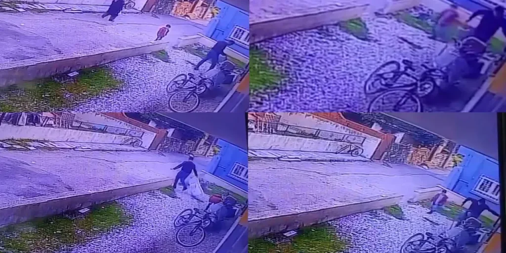 Manisa: uccisione di un cane di fronte a bambini