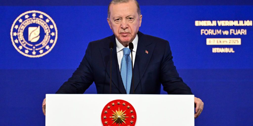 Cumhurbaşkanı Erdoğan: Dışarıdan doğalgaz almak bakkaldan gazoz almaya benzemez