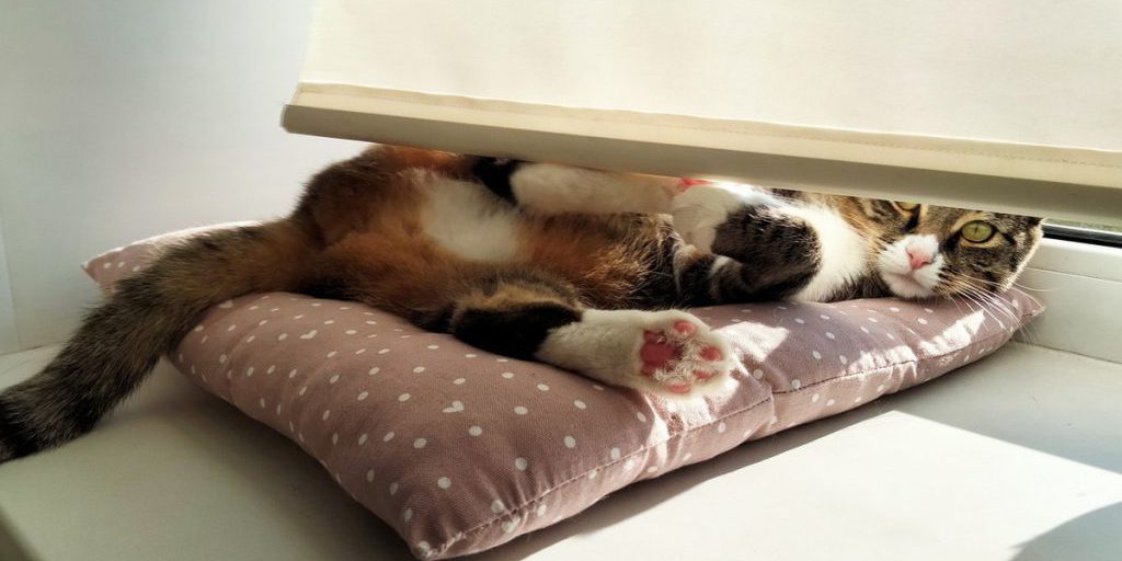 La Pulizia dei Sottofinestrati in Plastica: Una Guida per una Casa Moderna e Igea