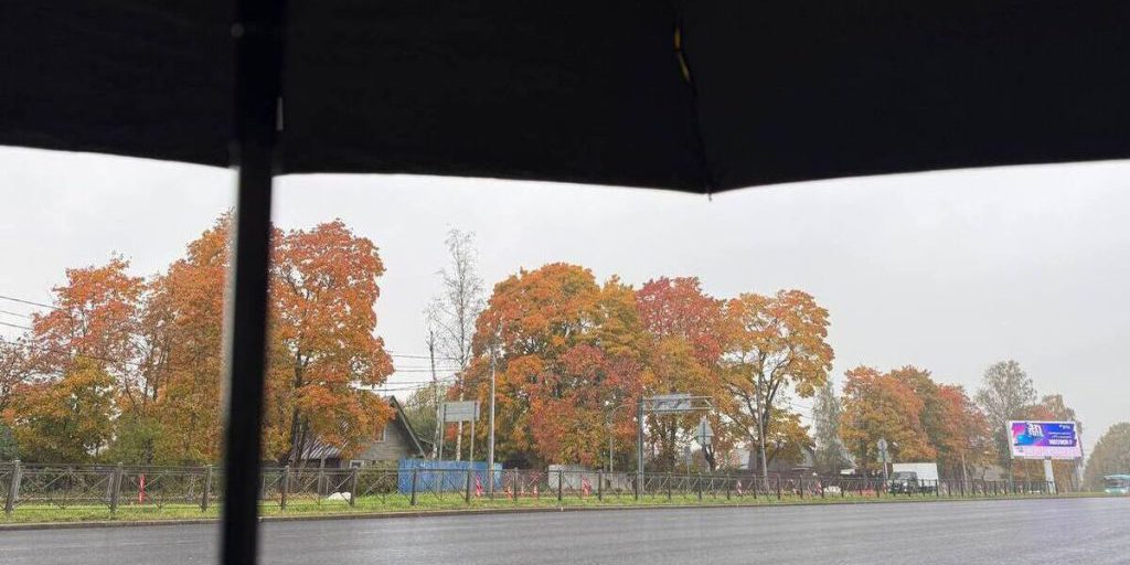 Дожди и ветер накрыли Калининград