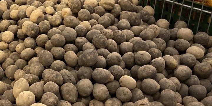 На ярмарках выходного дня в Рязани продали 6,2 тонны мяса и 2 тонны картошки