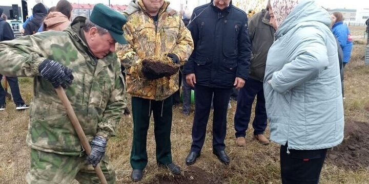 Piantagione di alberi a Shemysheysky: un passo avanti per la tutela dell'ambiente nella regione di Penza