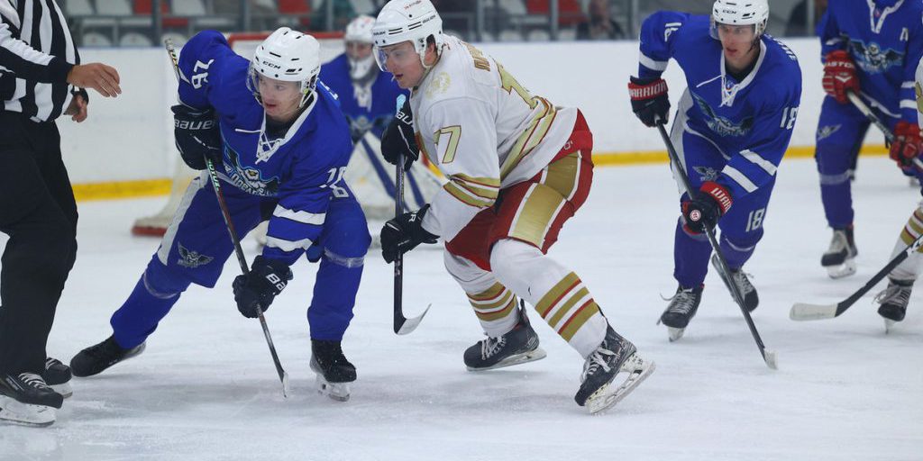 Орловские хоккеисты взяли бронзу на «Кубке регионов»