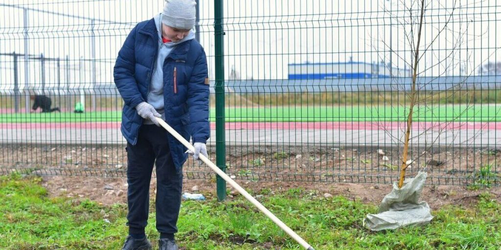 Piantumazione di nuovi alberi a Velikij Novgorod: un passo verso un ambiente urbano più sostenibile