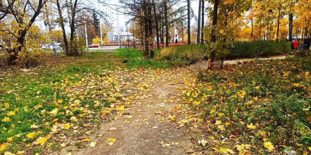 Синоптики анонсировали первый снег во Владимирской области