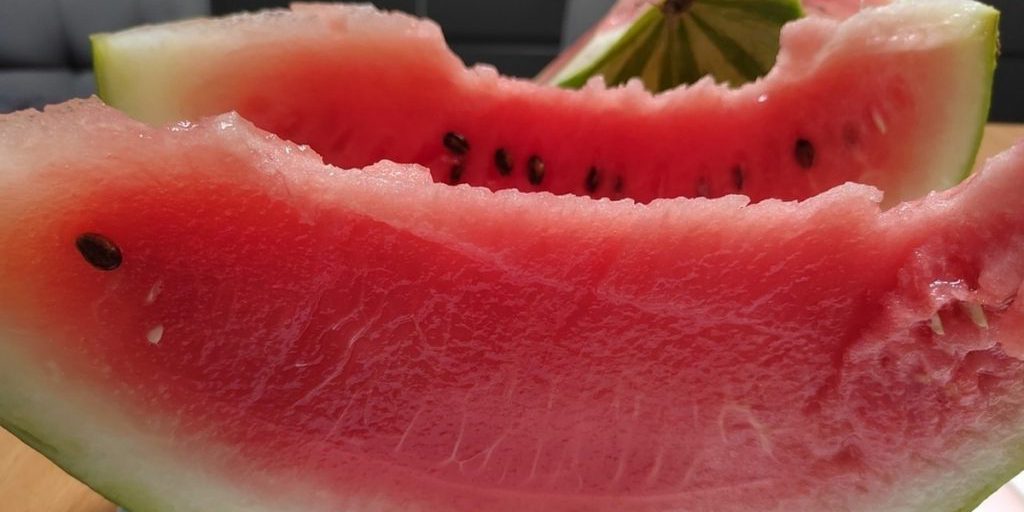 "Melone da 10 kg: il segreto del successo di Elena Ivanova nella coltivazione in serra"