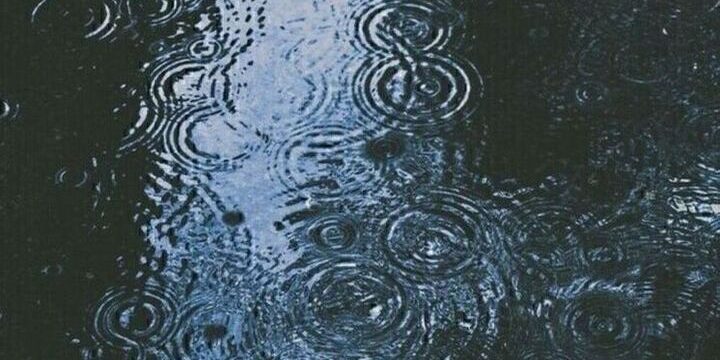 Курянам пообещали дожди и туман 20 октября