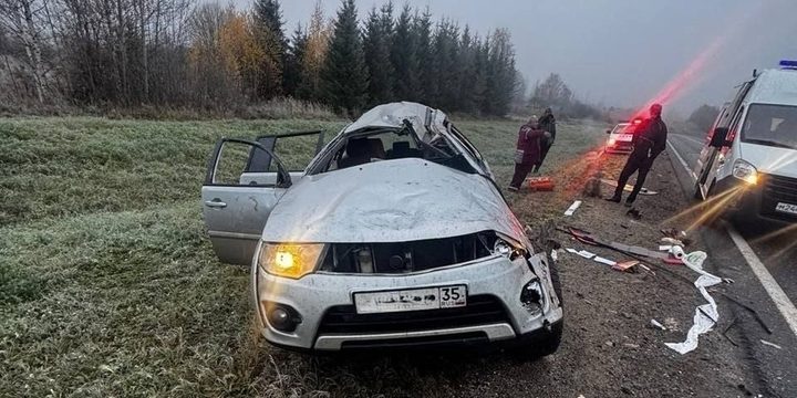 В Вологодской области погиб водитель вылетевшего в кювет автомобиля