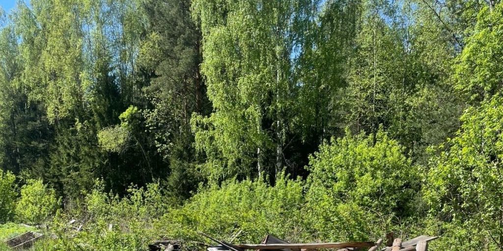 Procuratore interviene con successo per eliminare vasta discarica abusiva nella regione di Vladimir in Russia