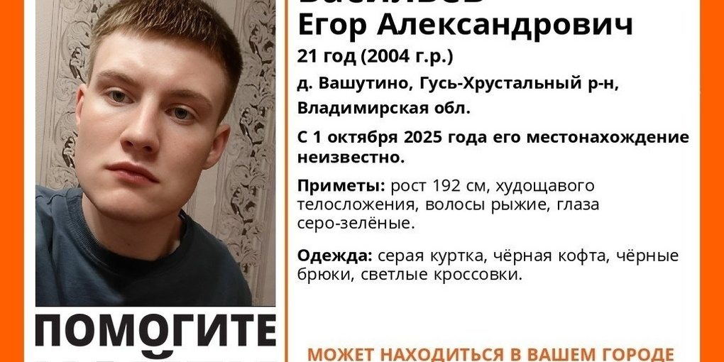 Giovane scomparso nella regione di Vladimir: la comunità si mobilita per il suo ritrovamento