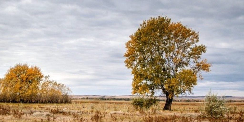 Previsioni del Tempo per l'Autunno: Una Tradizione Antica e le sue Conseguenze