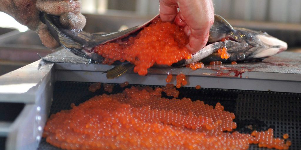 В России впервые за год подешевела красная икра
