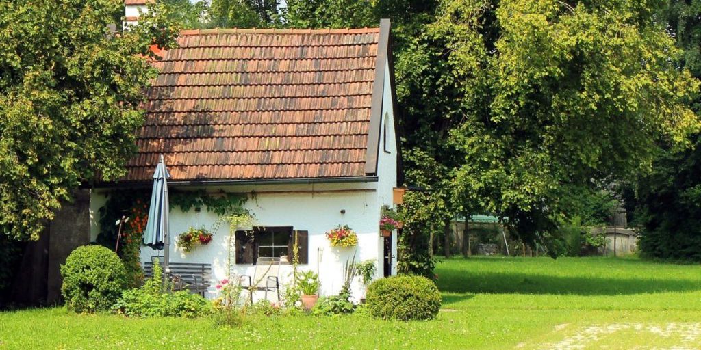 Жителям Липецка дали советы по защите урожая осенью