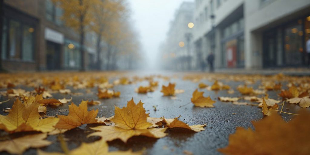 Previsioni Meteo a Krasnoyarsk il 24 Settembre: Tempo Ventoso e Piogge Brevi Attesi