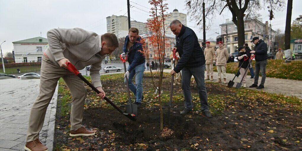 Более 4000 деревьев высадили в Единый день озеленения в Рязани