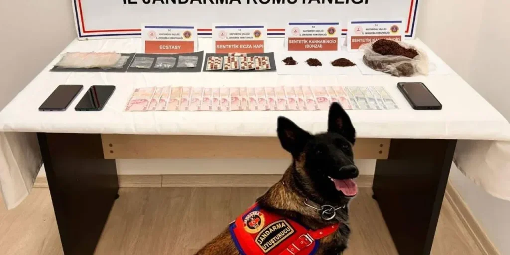 Madre e figlio condannati a 18 anni di reclusione per traffico di droga a Tosya, Turchia