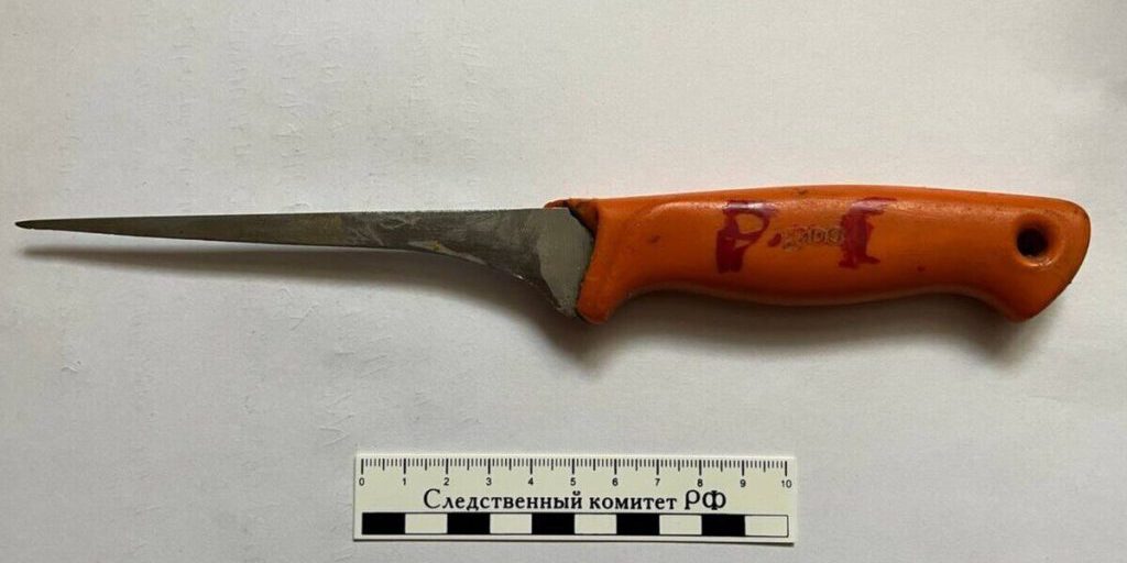 Запорожская пенсионерка ответит за пьяную поножовщину