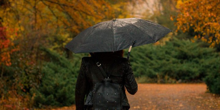 17 октября в Брянской области пройдут дожди