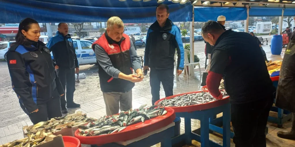 Controllo a Bandırma: pesci venduti come “uskumru” rivelati in realtà “kolyoz”