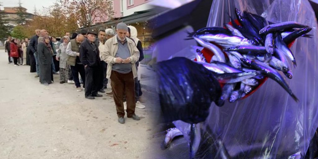 Calo del prezzo del hamsi a Çorum: cosa sta succedendo nella città senza costa sul mare