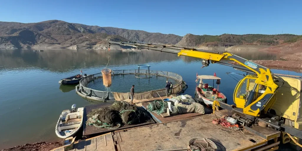 Allevamento di salmone a Tokat: dal lago di Almus al mercato internazionale
