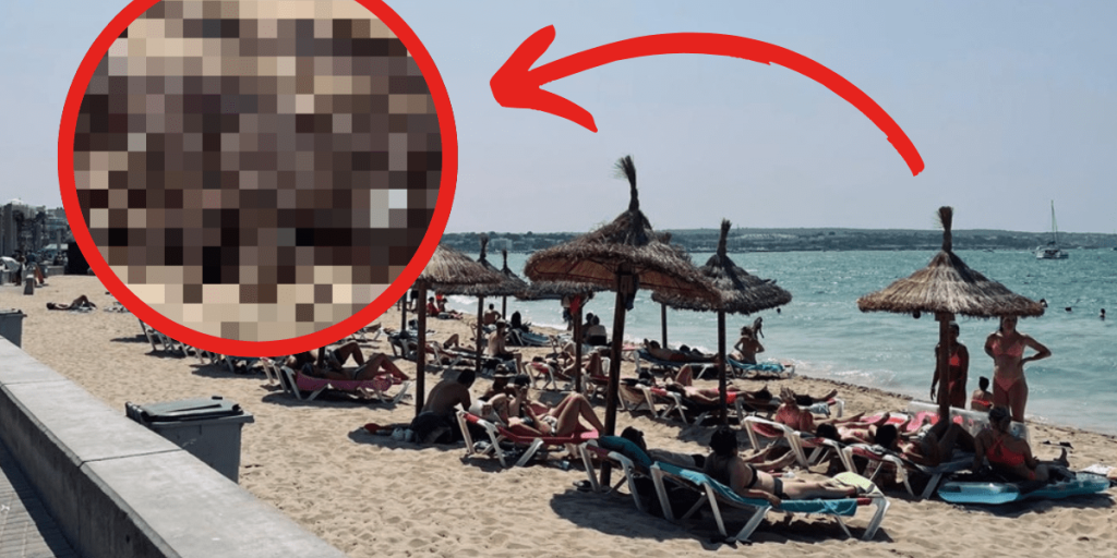 Mallorca-Urlauber erwartet ein unschöner Anblick – direkt an der Playa de Palma!