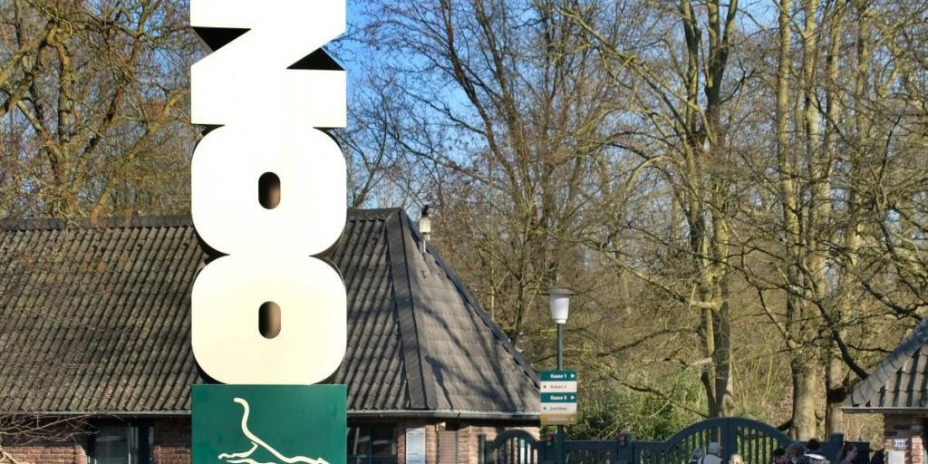 Zoo in Germania regala denaro ai visitatori ma con una condizione inspiegabile