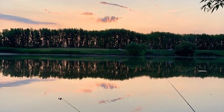 30 тысяч мальков сазана выпустили в реку под Воронежем