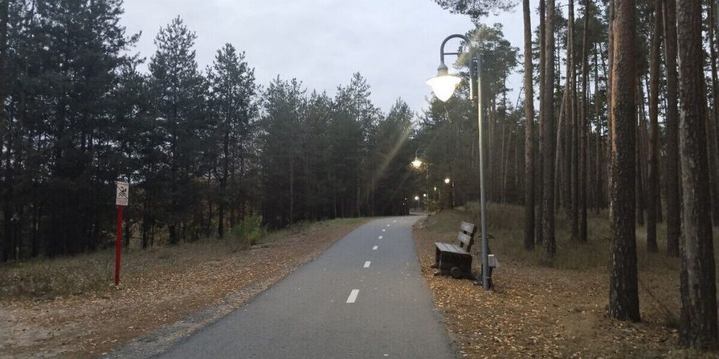 В Белгородской области потеплеет до +14° в пятницу