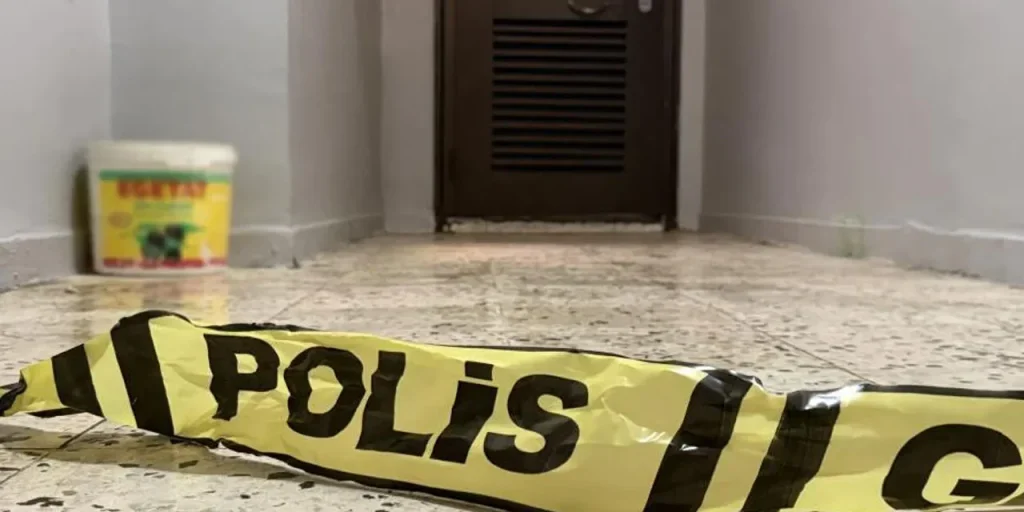 Uomo arrestato dopo aver ucciso madre e fratello a Diyarbakır