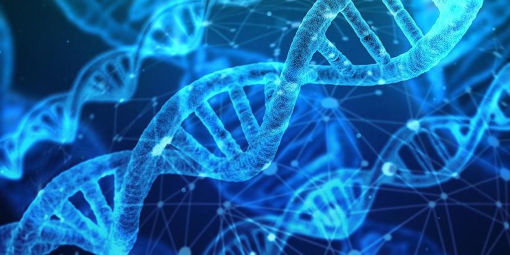 Tecnologia del DNA: gli scienziati europei possono prevedere età, origine e caratteristiche fisiche con alta precisione