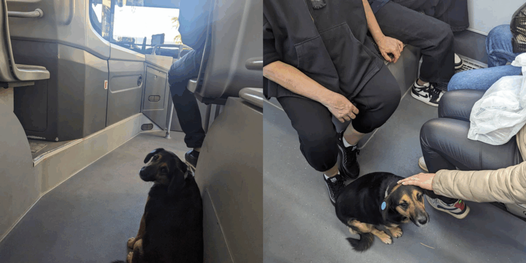 Tensioni in Georgia: La Richiesta Costituzionale per Vietare l'Oposizione e le Sue Possibili Conseguenze